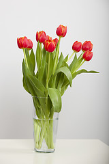 Image showing Orange Tulips