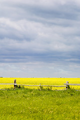 Image showing Prairie Landscape - Fence Line