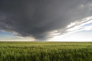 Image showing Prairie Sky Landscape