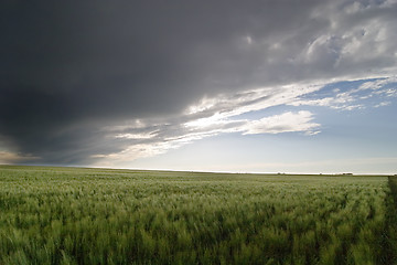 Image showing Prairie Sky Landscape