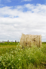 Image showing Hay Bail