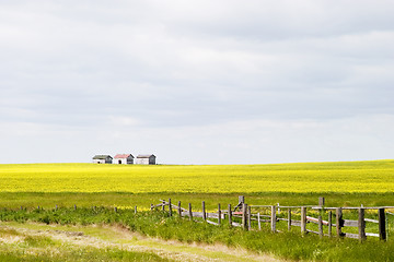 Image showing Prairie Landscape