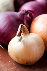 Image showing Red and yellow onions