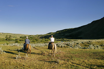 Image showing Cattle Round Up