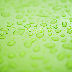 Image showing Green surface with drops of water
