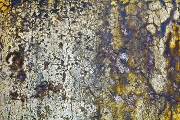 Image showing Moldy wall of old building - background