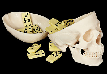 Image showing Human skull filled with dominoes