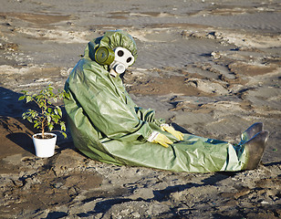 Image showing Environmental scientist and a plant in desert