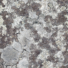 Image showing Granite rock with lichen - seamless texture