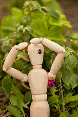 Image showing Ladybird sits on toy wooden man