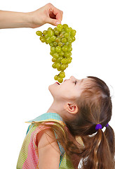 Image showing Funny little girl eating grapes from hand