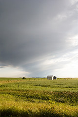 Image showing Prairie Field