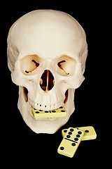 Image showing Skull eating dominoes