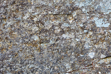 Image showing Background - gray rock with lichen