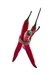 Image showing bunch of red hot chilli pepper, tied by rope