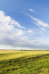 Image showing Prairie Sky Landscape