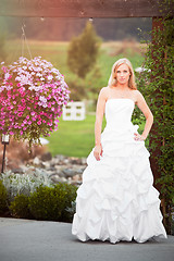 Image showing Beautiful bride