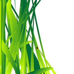 Image showing Fresh grass leaves background