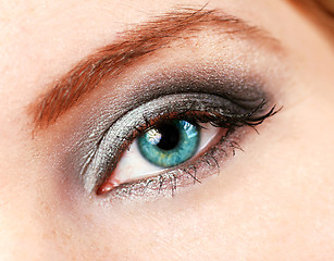 Image showing female eye with make up