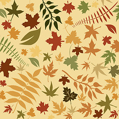 Image showing Autumnal leaf background