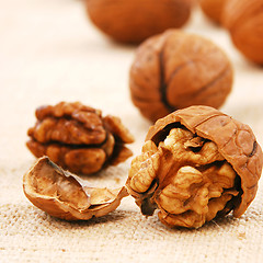 Image showing wallnuts