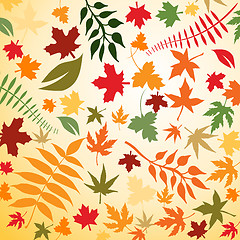 Image showing Autumn Leaves 
