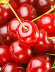 Image showing bunch of fresh cherries