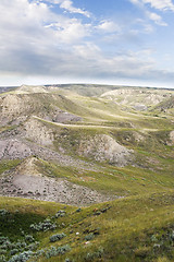 Image showing South Saskatchewan River Hills