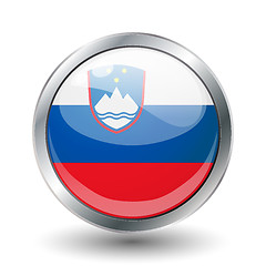 Image showing shiny button flag 