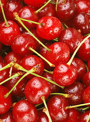 Image showing bunch of fresh cherries