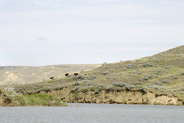 Image showing River Hills