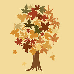 Image showing Autumn tree