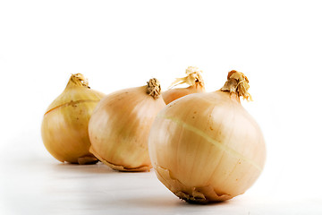 Image showing Onion Group