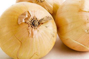 Image showing Onion Group