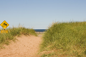Image showing Sand Dune