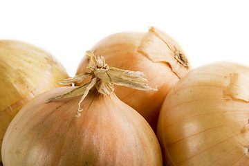 Image showing Onion Group