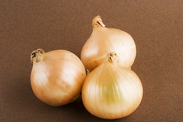 Image showing Onion