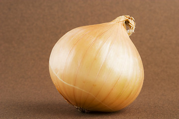 Image showing Onion