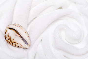 Image showing shell on white towels close up