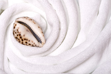 Image showing shell on white towels close up