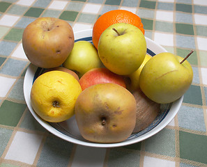 Image showing Fruits