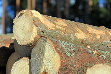 Image showing Wooden Logs Stacked Detail