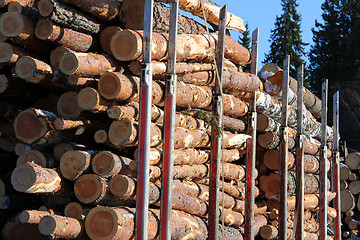 Image showing Wood Logs on Truck Trailer