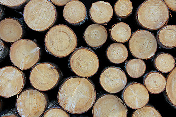 Image showing Cut Wooden Logs Background