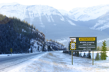 Image showing Wildlife Speed limit 