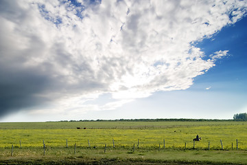 Image showing Prairie Summer Landscape