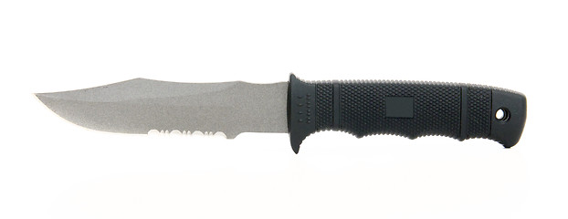 Image showing Hunting or Survival Knife