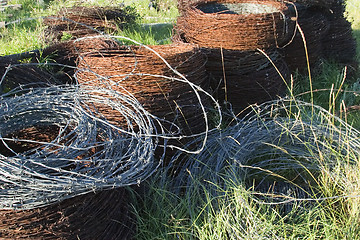 Image showing Barbed Wire Texture