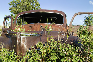 Image showing Overgrown Antique Car