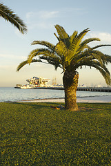 Image showing St. Petersburg Pier 